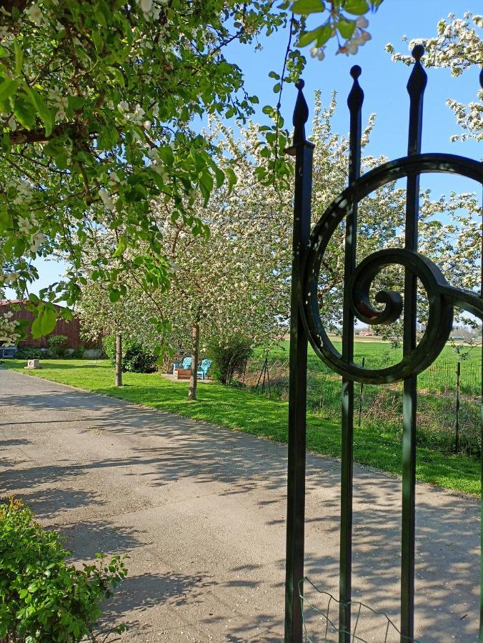 Les Chambres D'Hotes Du Vert Galant " L'Allee Des Champs" Verlinghem 外观 照片